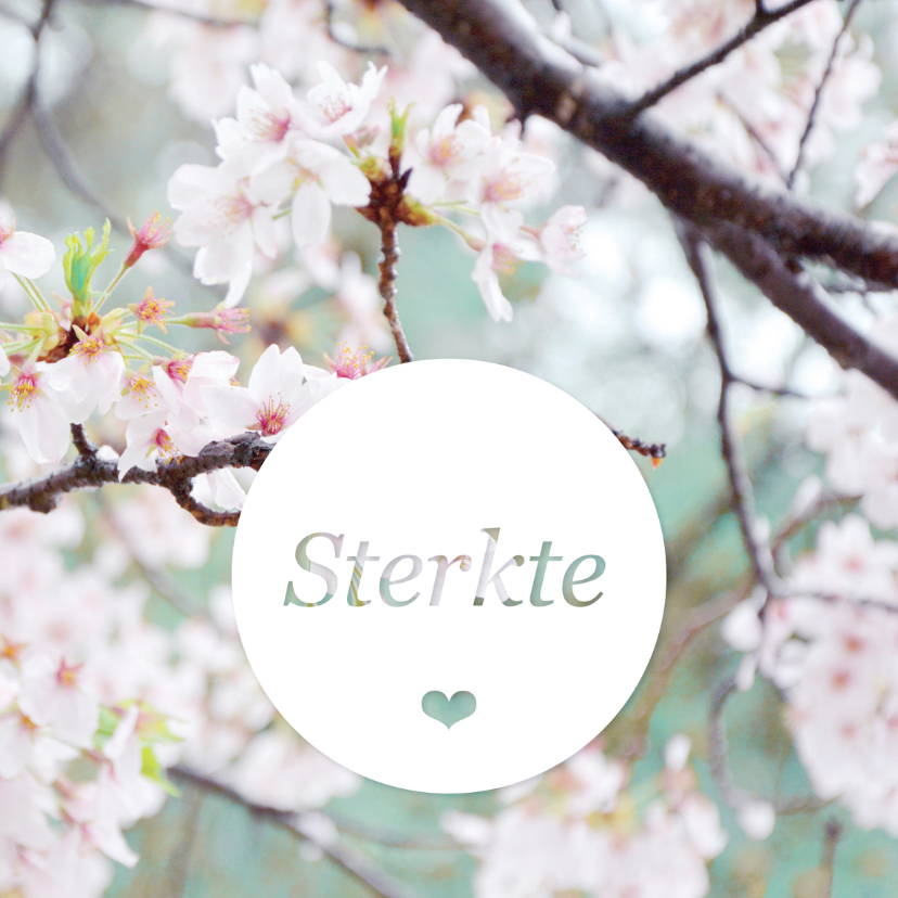 Sterkte bij overlijden bloemen - Condoleancekaarten Condoleancekaarten - Sterkte bij overlijden bloemen