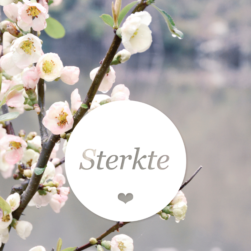 Sterkte bloesem rouwkaart - Condoleancekaarten Condoleancekaarten - Sterkte bloesem rouwkaart