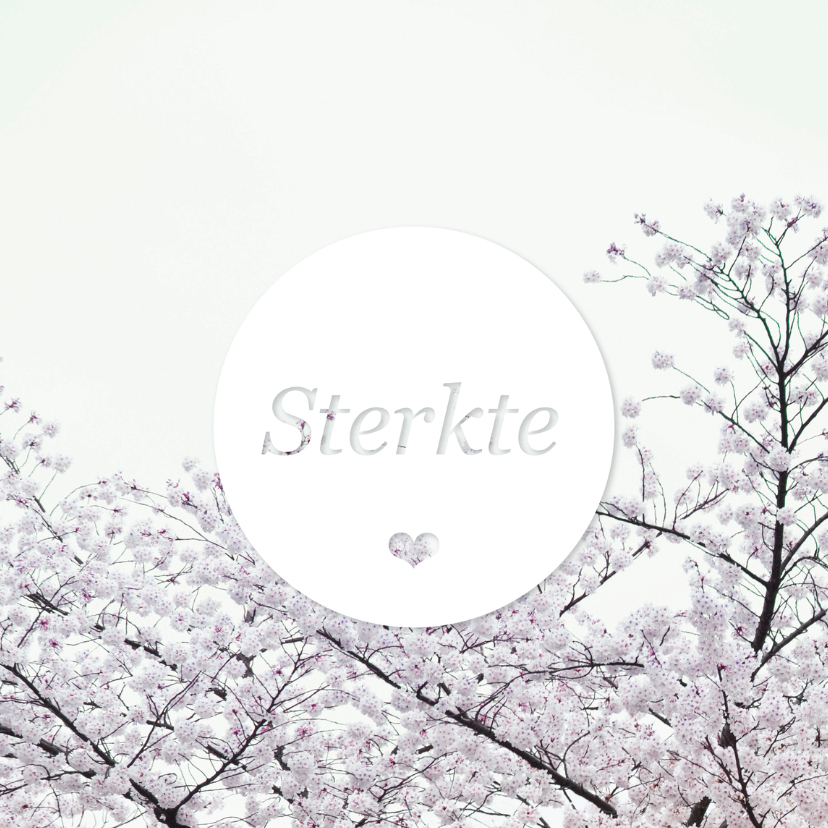 Sterkte condoleance bloem wit - Condoleancekaarten Condoleancekaarten - Sterkte condoleance bloem wit