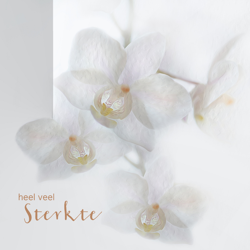 Sterkte met orchideeën - Condoleancekaarten Condoleancekaarten - Sterkte met orchideeën