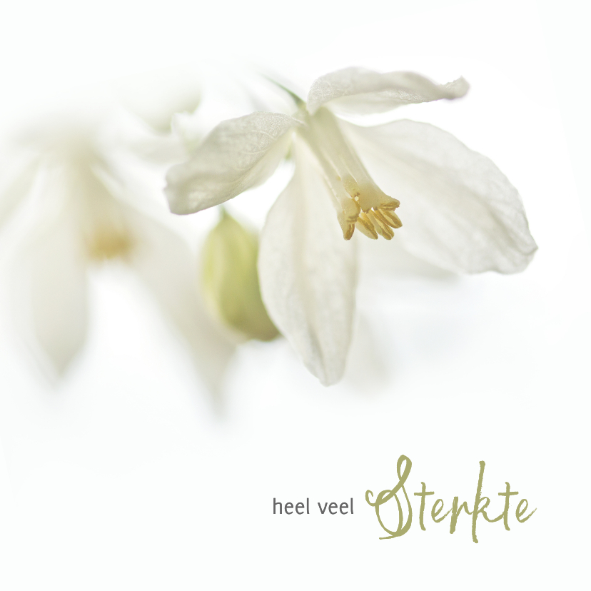 Condoleancekaarten - Sterkte met witte bloemen