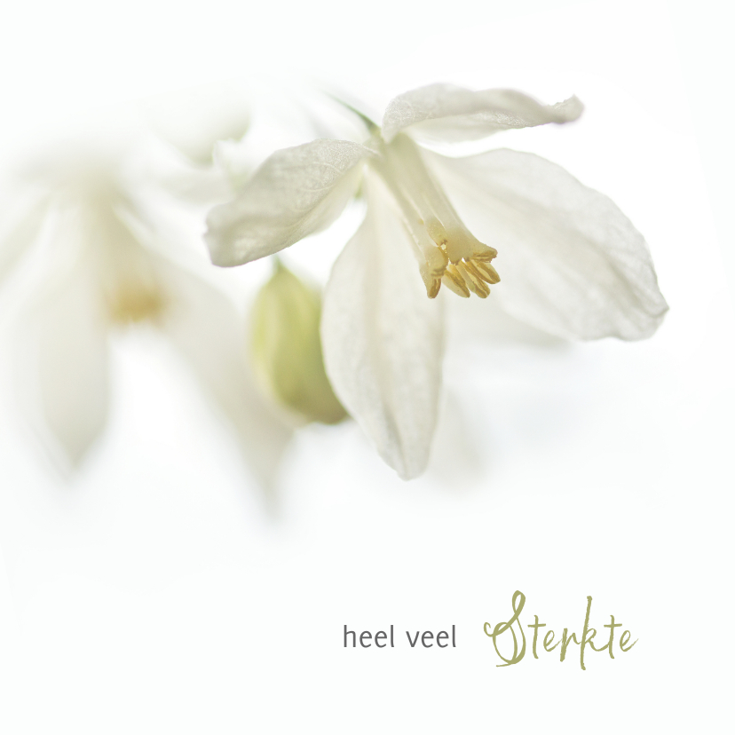 Sterkte met witte bloemen - Condoleancekaarten Condoleancekaarten - Sterkte met witte bloemen