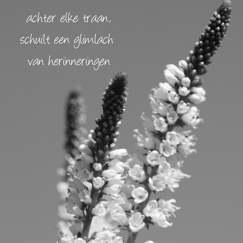 traan - Condoleancekaarten Condoleancekaarten - traan