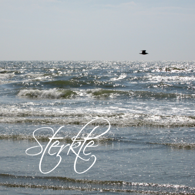 vogel aan horizon boven zee - Condoleancekaarten Condoleancekaarten - vogel aan horizon boven zee