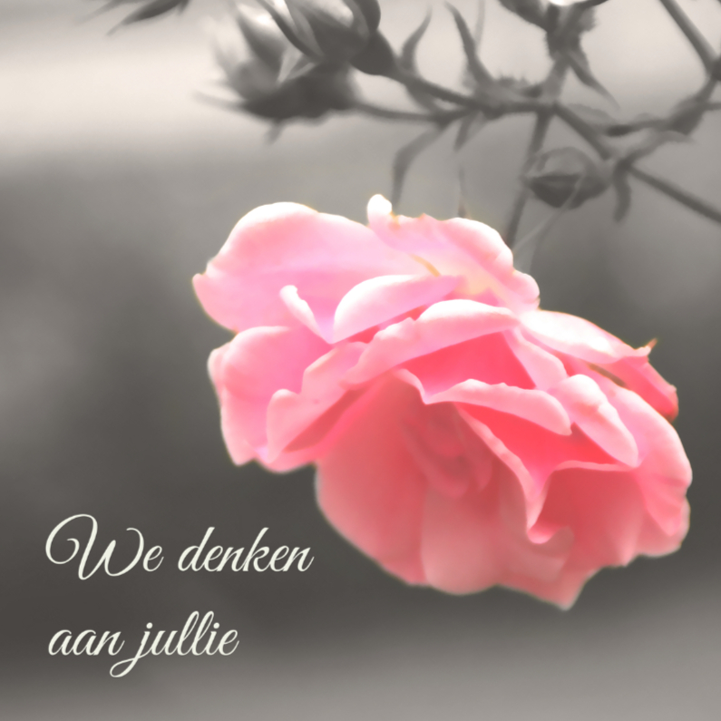 We denken aan jullie - DH - Condoleancekaarten Condoleancekaarten - We denken aan jullie - DH