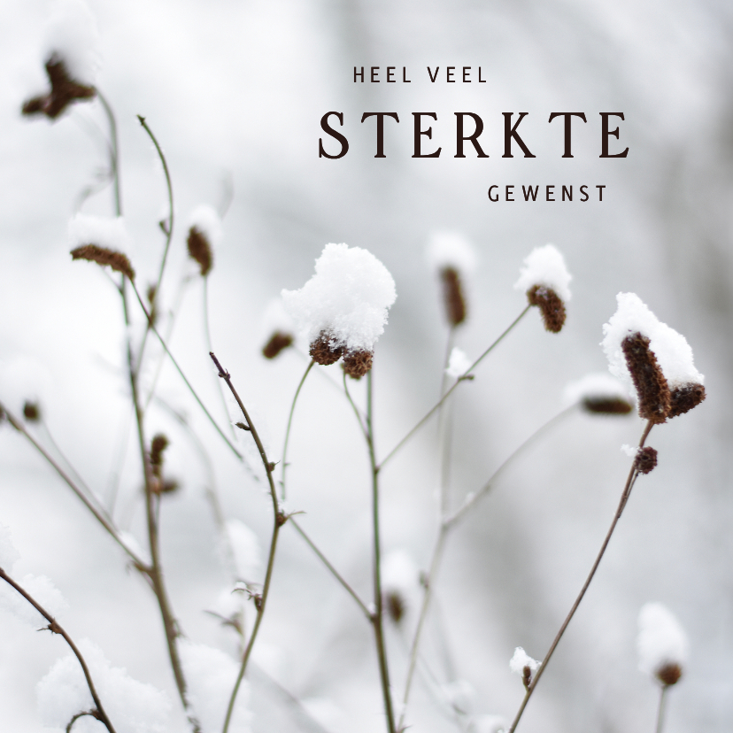 Condoleancekaarten - Winterse condoleance kaart met natuurfoto in de sneeuw