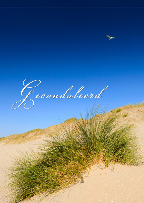 Zeemeeuw over de duinen - Condoleancekaarten Condoleancekaarten - Zeemeeuw over de duinen