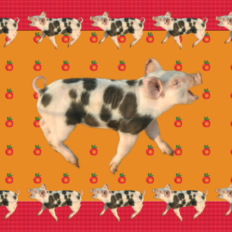 Biggetjes en appels - Dierenkaarten Dierenkaarten - Biggetjes en appels
