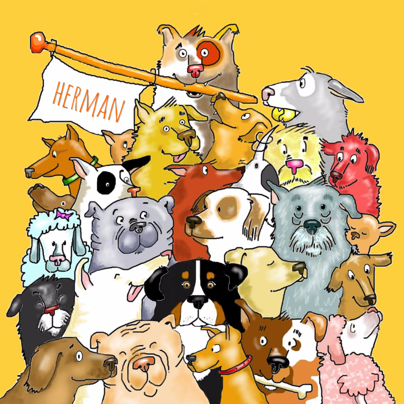 Dieren honden, een heleboel! - Dierenkaarten Dierenkaarten - Dieren honden, een heleboel!