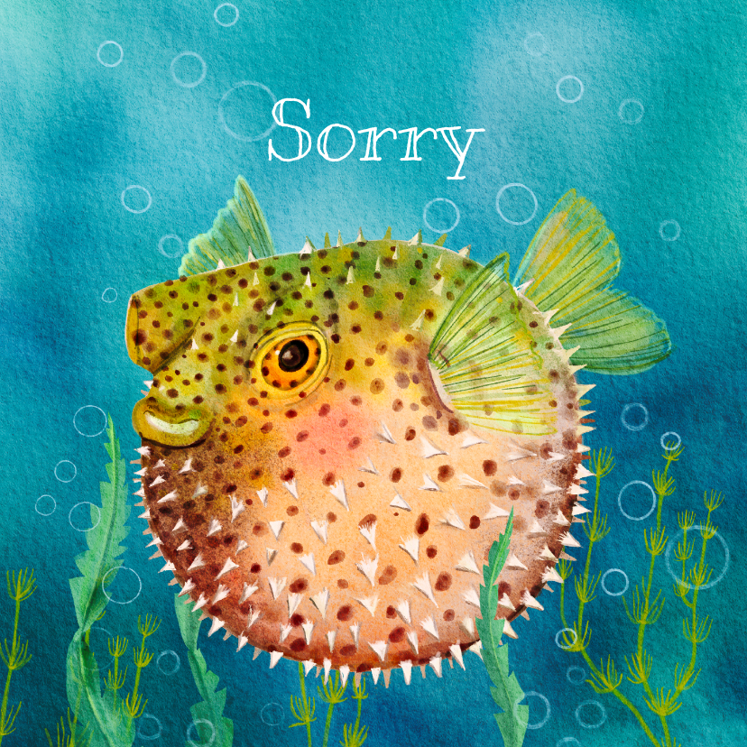 Dierenkaarten - Dierenkaart bied excuses aan met deze grappige kogelvis