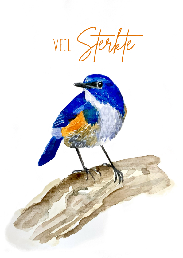 Dierenkaart blauwe vogel op tak - Dierenkaarten Dierenkaarten - Dierenkaart blauwe vogel op tak
