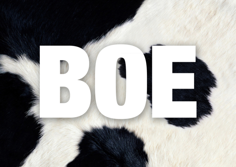 Dierenkaarten - Dierenkaart Boe