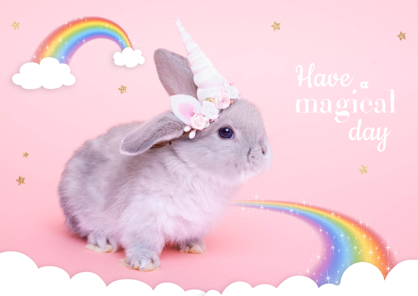 Dierenkaart - Eenhoorn konijntje regenboog - Dierenkaarten Dierenkaarten - Dierenkaart - Eenhoorn konijntje regenboog