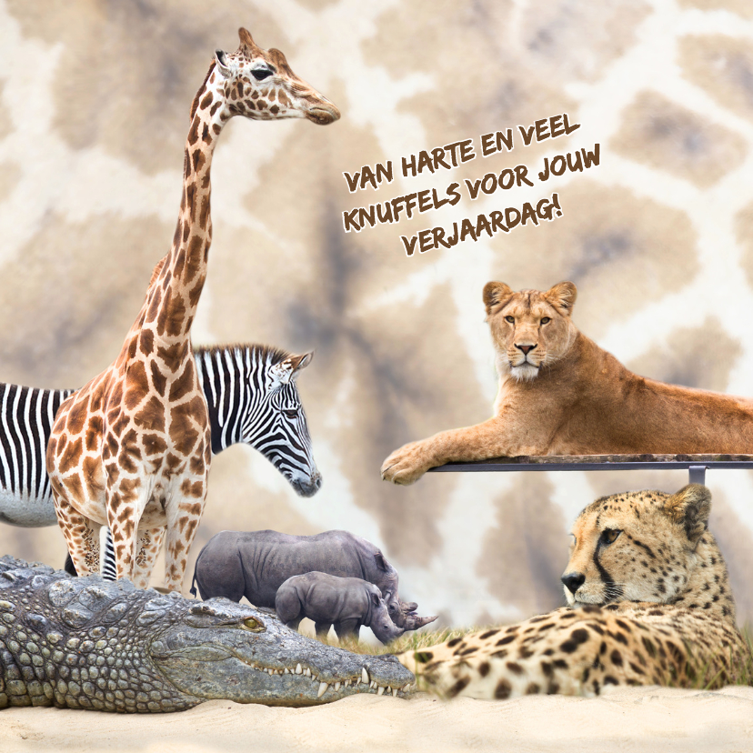 Dierenkaart giraffeprint - Dierenkaarten Dierenkaarten - Dierenkaart giraffeprint