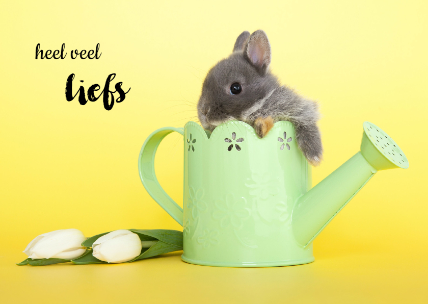 Dierenkaart heel veel liefs konijntje - Dierenkaarten Dierenkaarten - Dierenkaart heel veel liefs konijntje