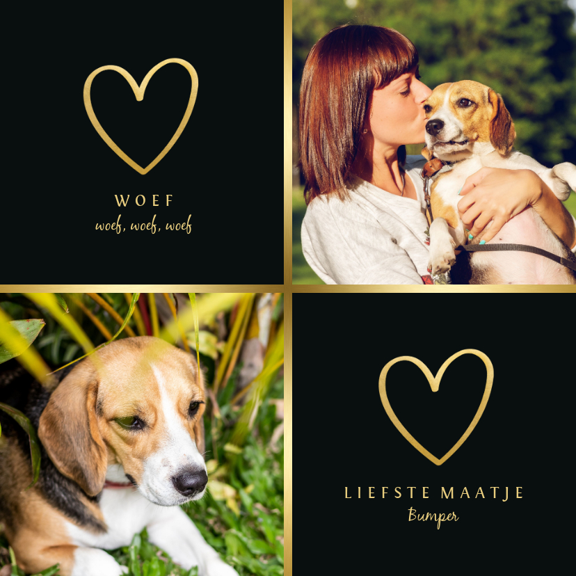 Dierenkaart met 2 foto's en goud - Dierenkaarten Dierenkaarten - Dierenkaart met 2 foto's en goud
