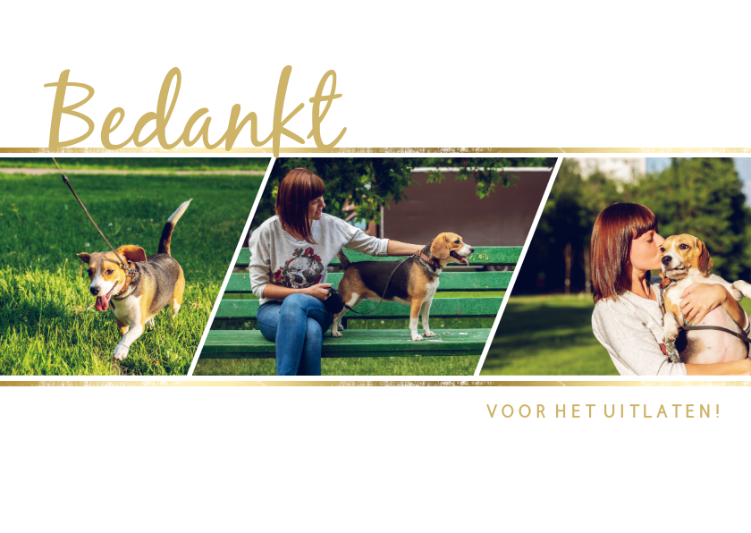Dierenkaart met 3 foto's - Dierenkaarten Dierenkaarten - Dierenkaart met 3 foto's
