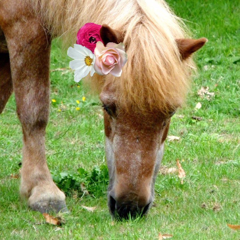 Dierenkaart Paard met bloemen - Dierenkaarten Dierenkaarten - Dierenkaart Paard met bloemen