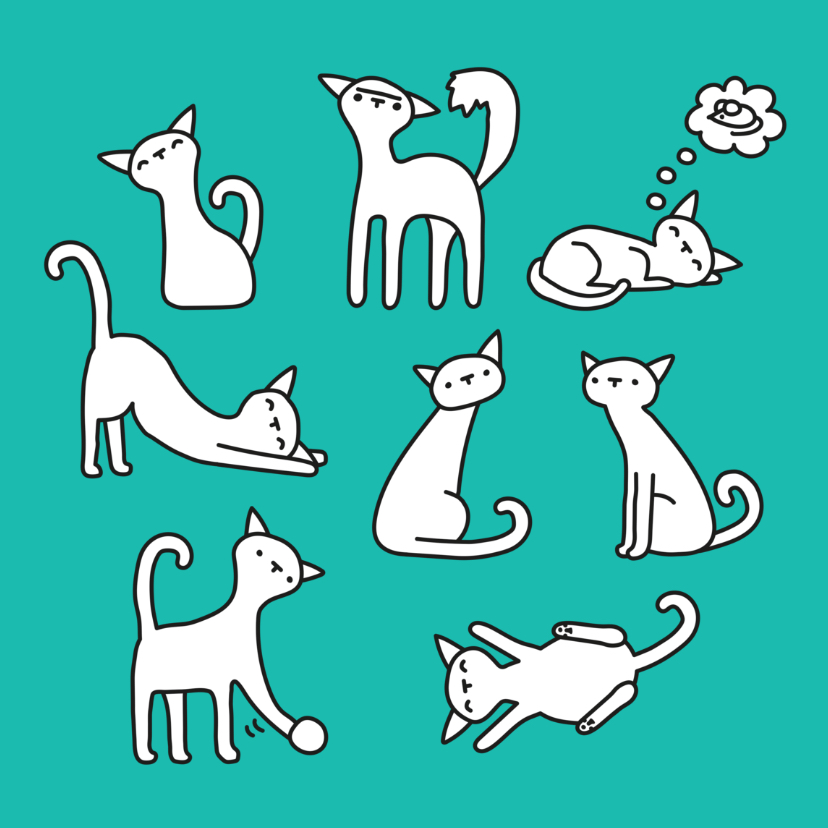 Dierenkaart Poesjes - Dierenkaarten Dierenkaarten - Dierenkaart Poesjes
