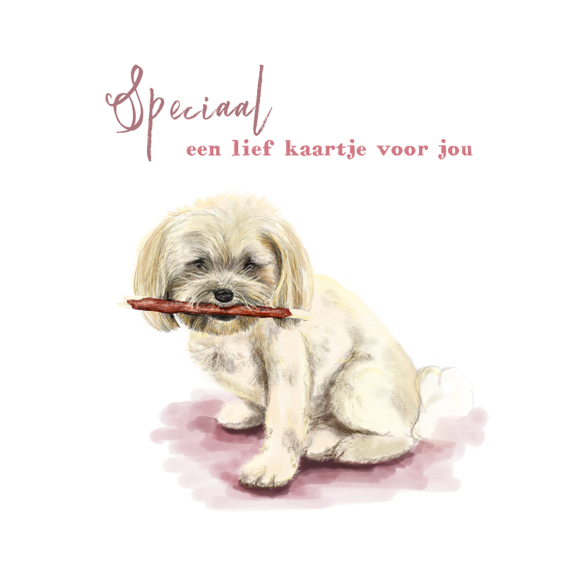 Dierenkaarten - Dierenkaart tekening van een lief hondje