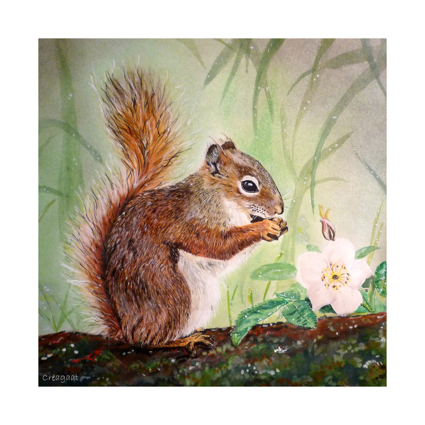 Eekhoorn Knabbel - kunstkaart - Dierenkaarten Dierenkaarten - Eekhoorn Knabbel - kunstkaart