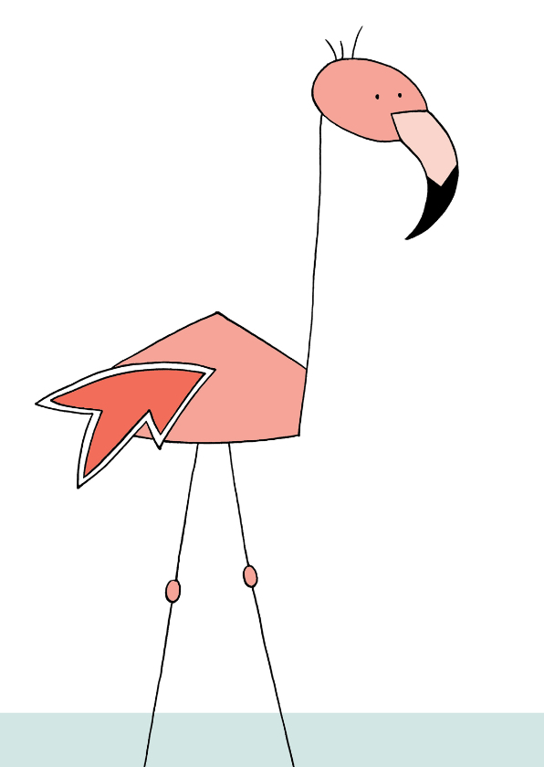 Flamingo - Dierenkaarten Dierenkaarten - Flamingo