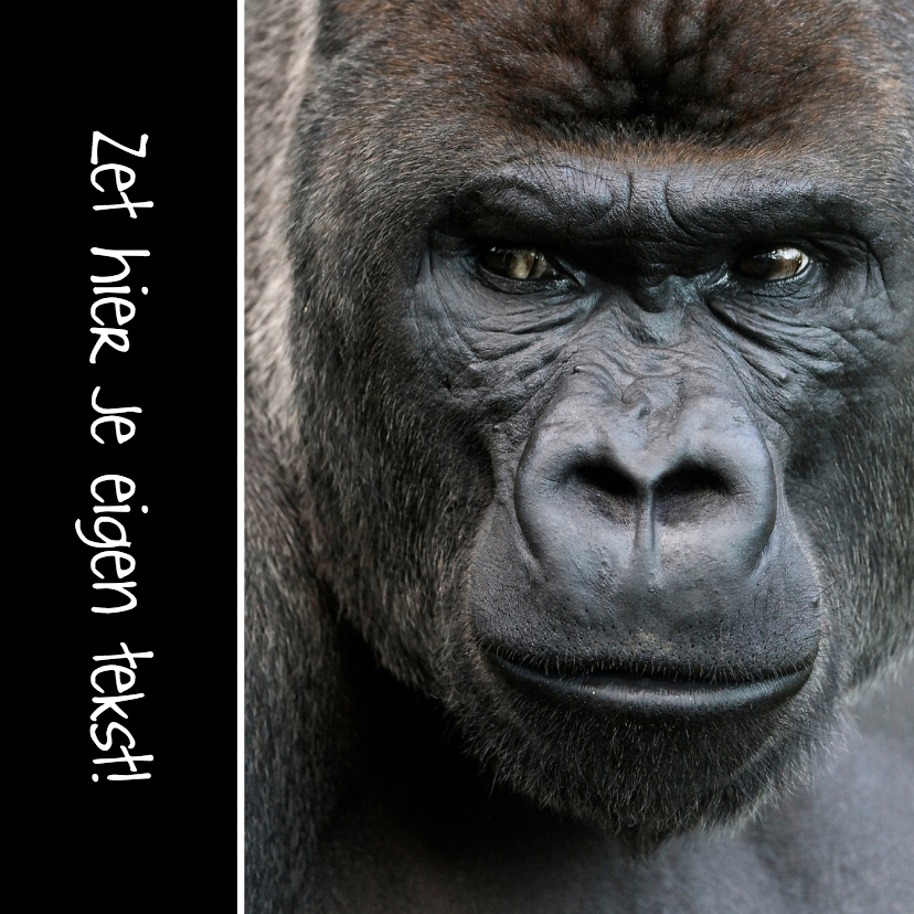 Gorilla power - OTTI - Dierenkaarten Dierenkaarten - Gorilla power - OTTI