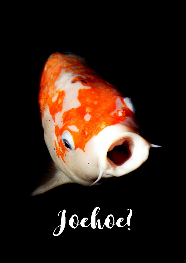 Grappige dierenkaart met een vis - Dierenkaarten Dierenkaarten - Grappige dierenkaart met een vis