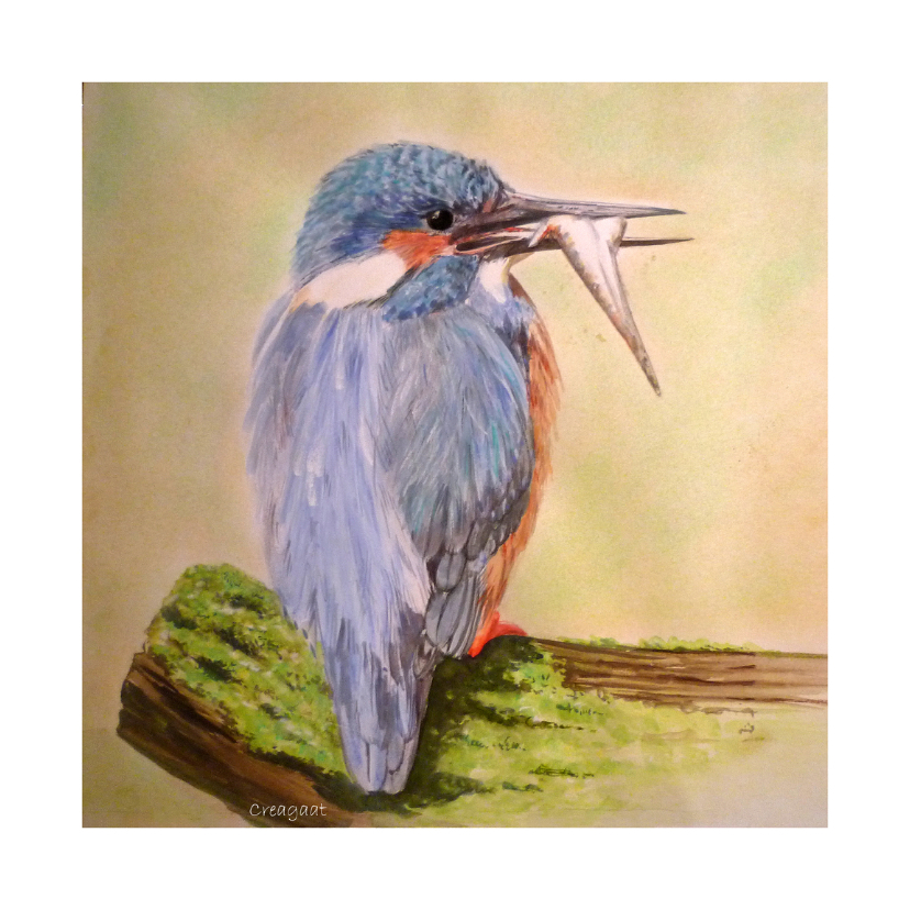 ijsvogel met visje - kunstkaart - Dierenkaarten Dierenkaarten - ijsvogel met visje - kunstkaart