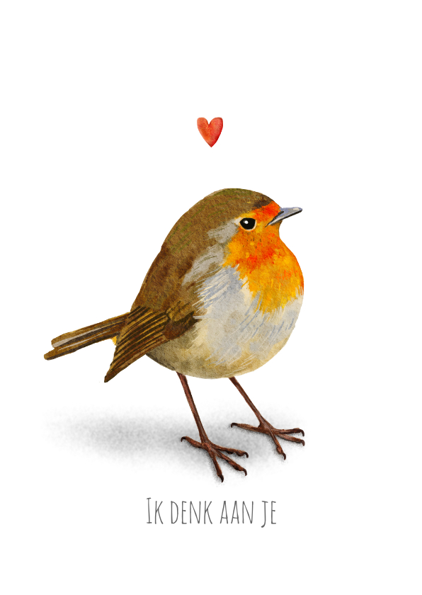 Ik denk aan je, kaart met lief roodborstje - Dierenkaarten Dierenkaarten - Ik denk aan je, kaart met lief roodborstje