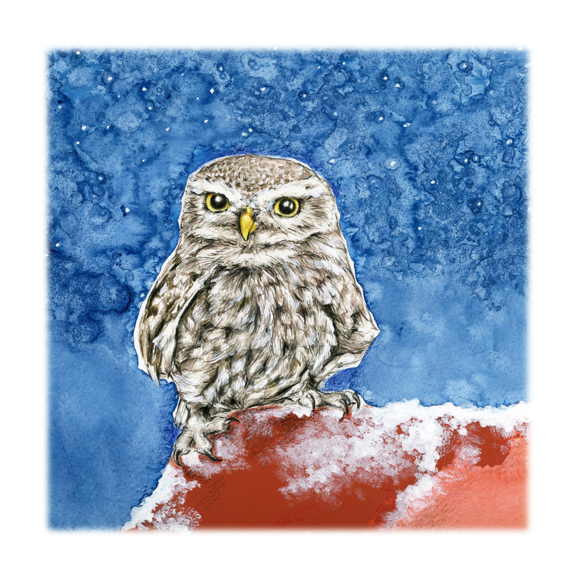 Kerstkaart Steenuiltje - Dierenkaarten Dierenkaarten - Kerstkaart Steenuiltje