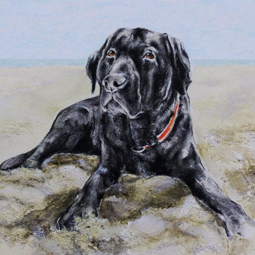 Labrador aan het strand - Dierenkaarten Dierenkaarten - Labrador aan het strand