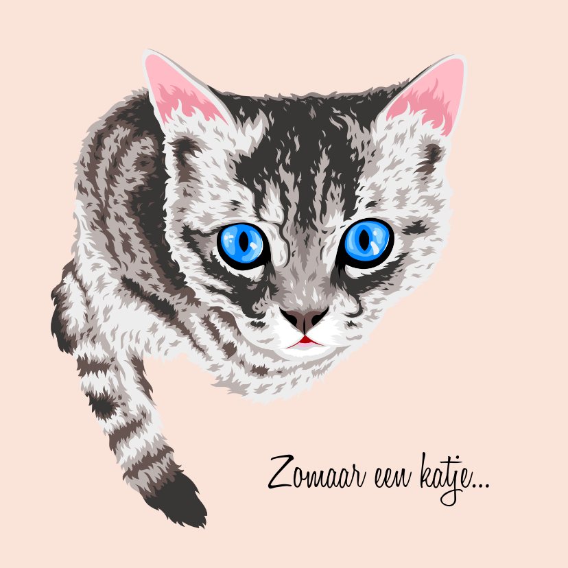 Dierenkaarten - Lieve dierenkaart kat