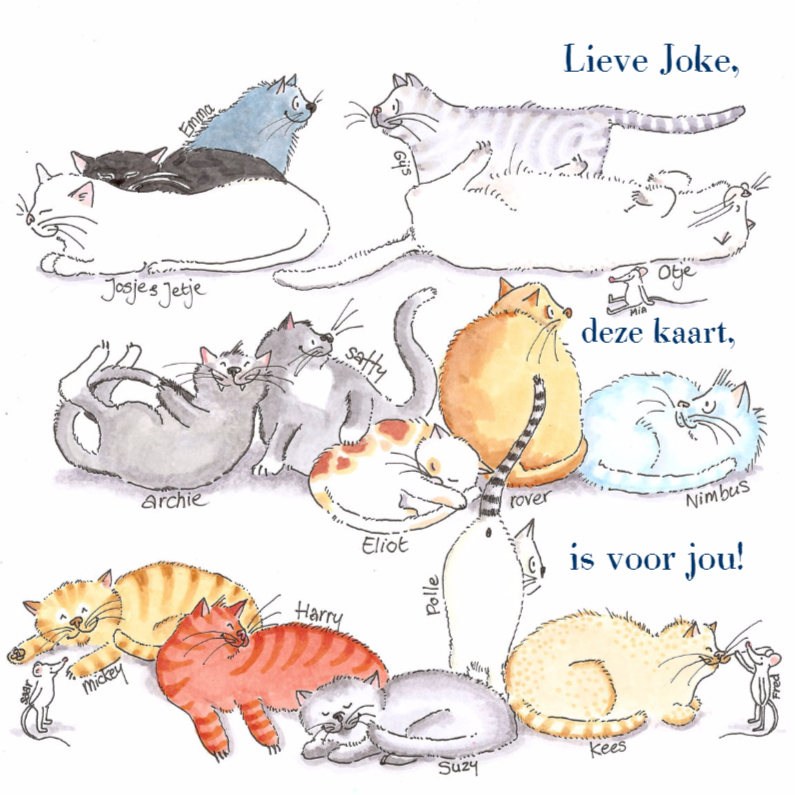 Poes poes poes - Dierenkaarten Dierenkaarten - Poes poes poes