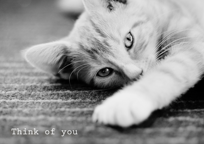 Think of you - Dierenkaarten Dierenkaarten - Think of you