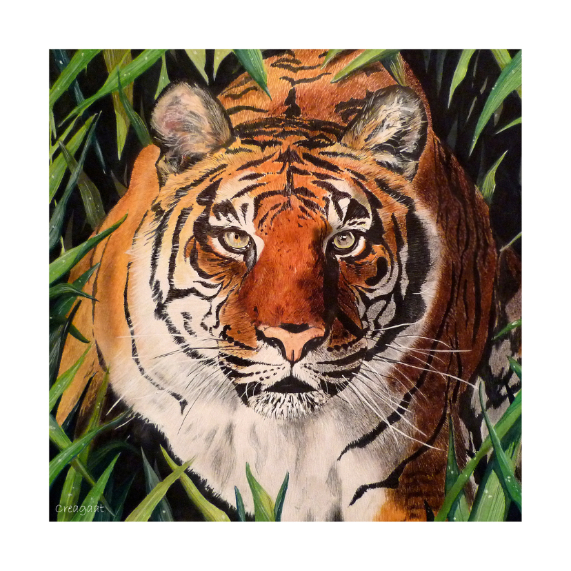 Tijger - kunstkaart - Dierenkaarten Dierenkaarten - Tijger - kunstkaart