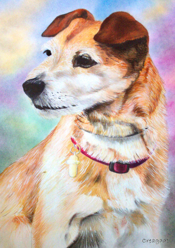 Trouwe hond - kunstkaart - Dierenkaarten Dierenkaarten - Trouwe hond - kunstkaart
