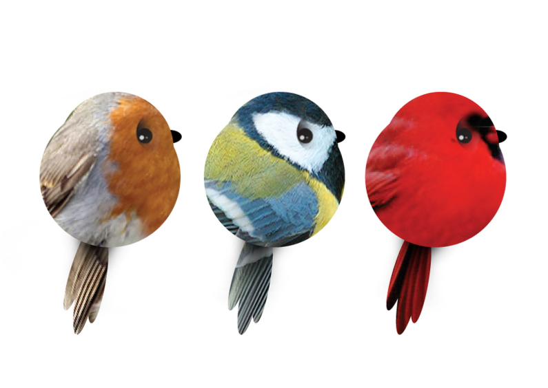 Vogeltjes piep - Dierenkaarten Dierenkaarten - Vogeltjes piep