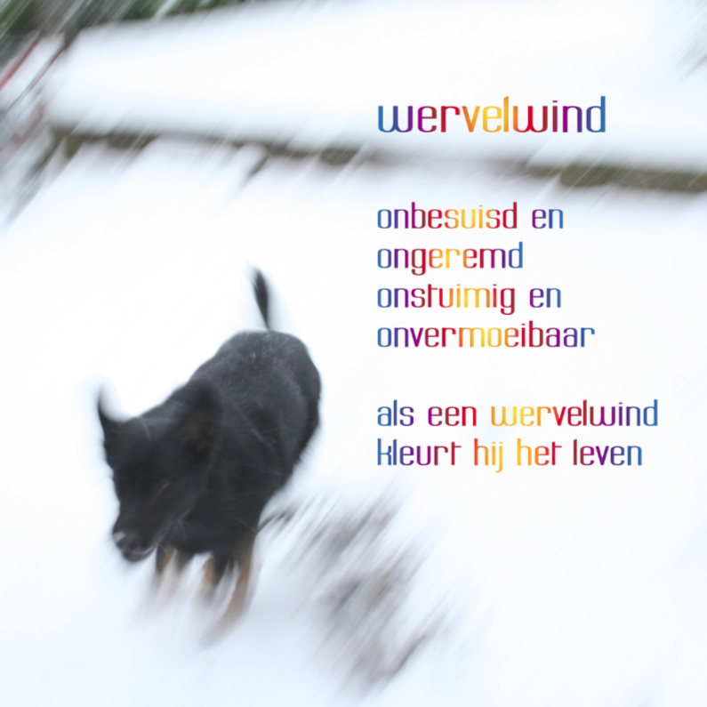 Wervelwind - Dierenkaarten Dierenkaarten - Wervelwind