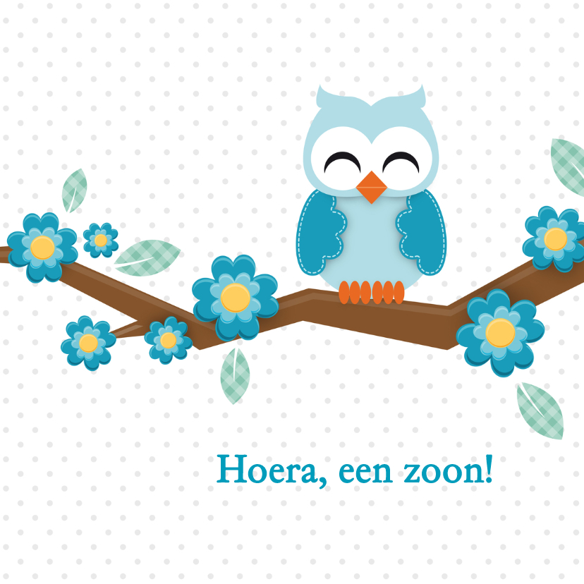 Baby uiltje jongen - Felicitatiekaarten Felicitatiekaarten - Baby uiltje jongen