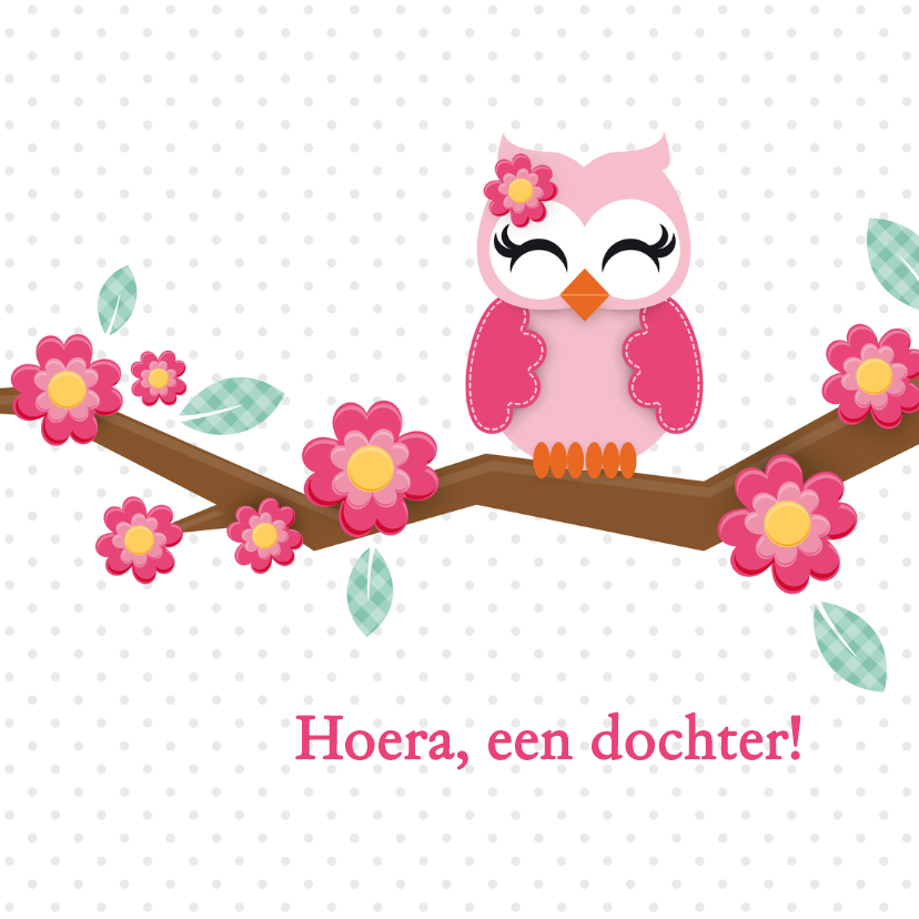 Baby uiltje meisje - Felicitatiekaarten Felicitatiekaarten - Baby uiltje meisje
