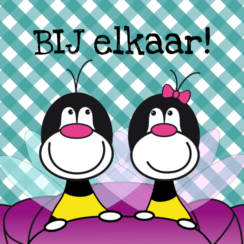 BIJ elkaar - Felicitatiekaarten Felicitatiekaarten - BIJ elkaar
