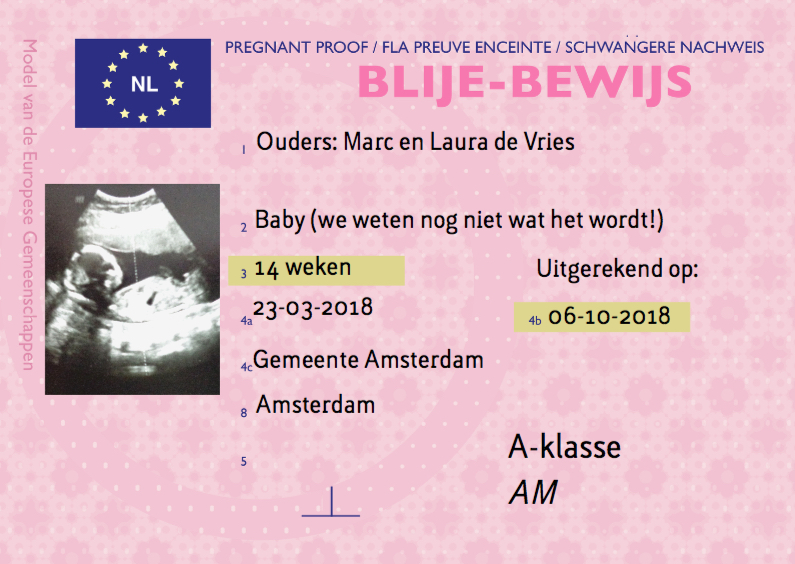 Blije-bewijs van zwanger zijn - Felicitatiekaarten Felicitatiekaarten - Blije-bewijs van zwanger zijn