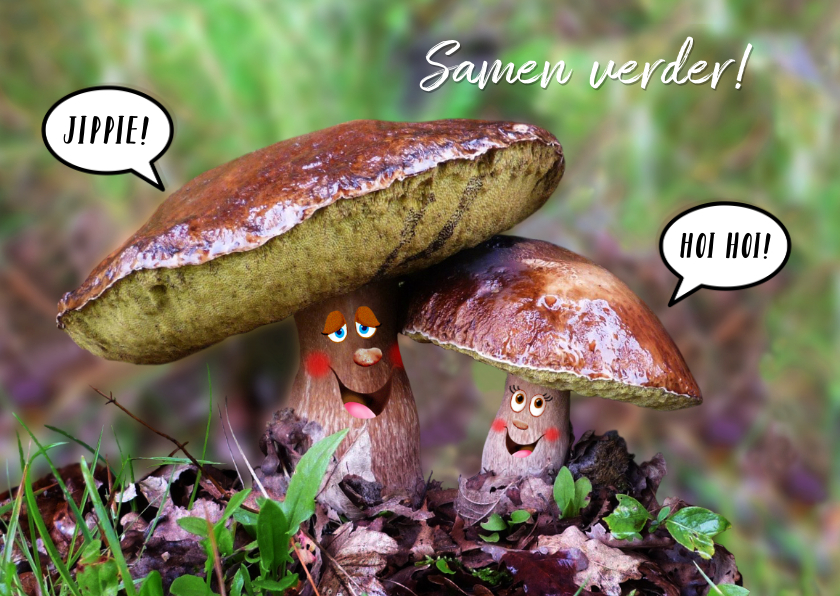 Dikke vriendjes - Felicitatiekaarten Felicitatiekaarten - Dikke vriendjes