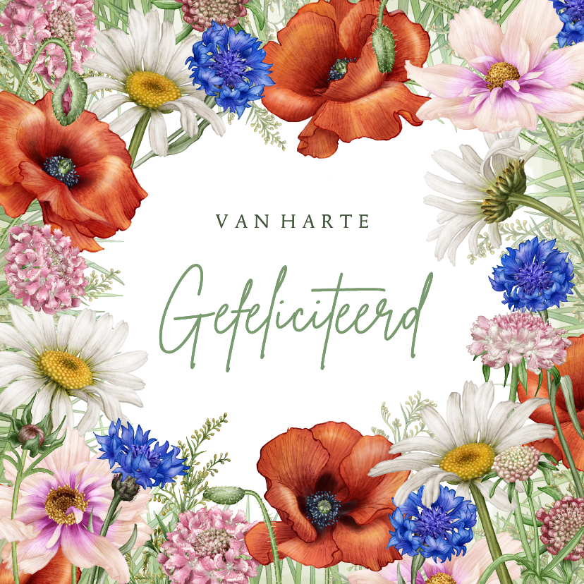 Felicitatiekaarten - Felicitatie algemeen bloemen