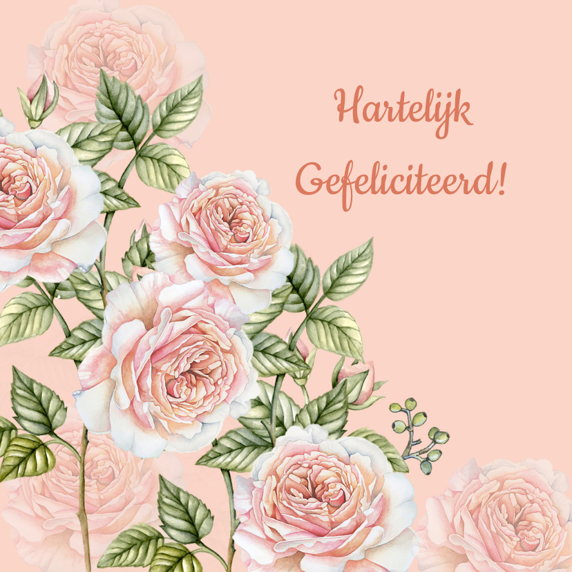 Felicitatie botanische rozen - Felicitatiekaarten Felicitatiekaarten - Felicitatie botanische rozen