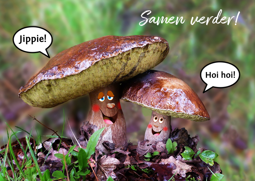 Felicitatie Dikke vriendjes - Felicitatiekaarten Felicitatiekaarten - Felicitatie Dikke vriendjes