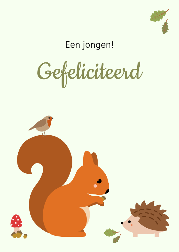 Felicitatiekaarten - Felicitatie - Eekhoorn met egel en vogel