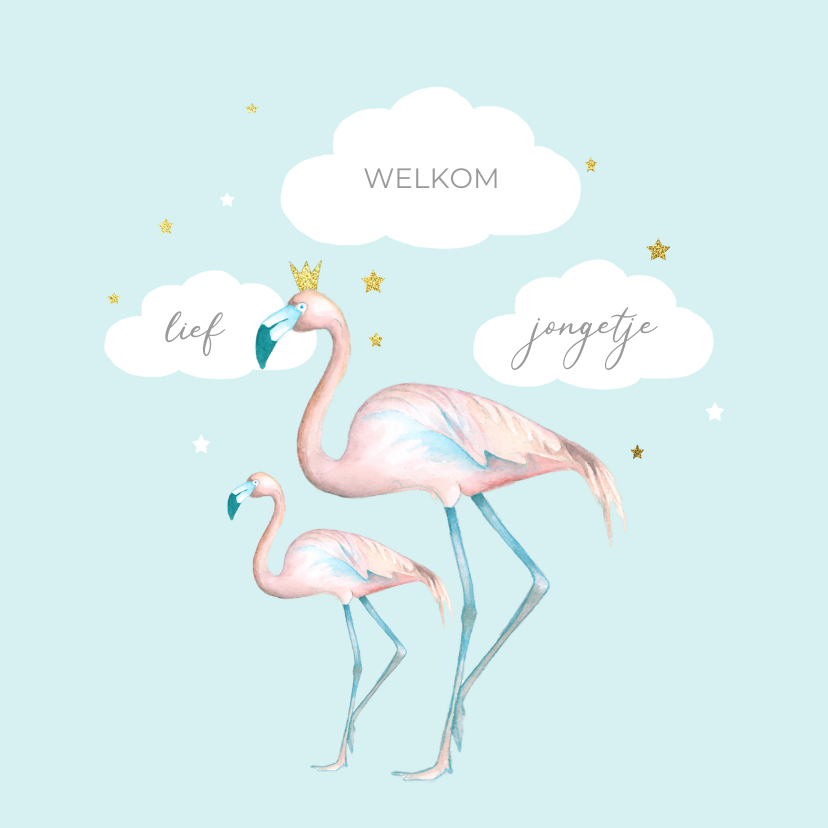 Felicitatie flamingo jongen - Felicitatiekaarten Felicitatiekaarten - Felicitatie flamingo jongen