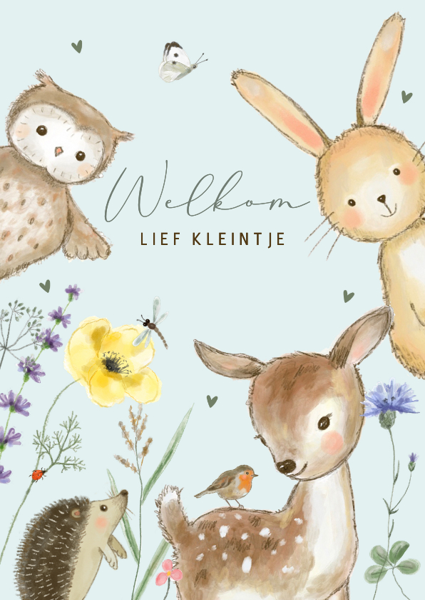 Felicitatie geboorte - bloemen bosdieren jongen - Felicitatiekaarten Felicitatiekaarten - Felicitatie geboorte - bloemen bosdieren jongen